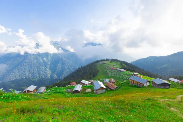 Pokut Yaylası Bulut Denizi ve Ahşap Evler