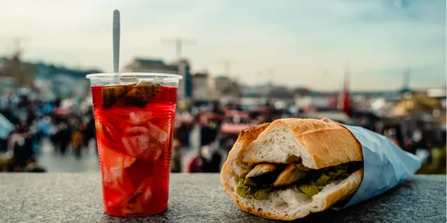 Blog post: Istanbul Travel Guide by Car: Routes and Traffic Tips